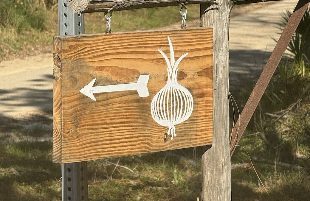 Ohoopee Match Club in Cobbtown, GA