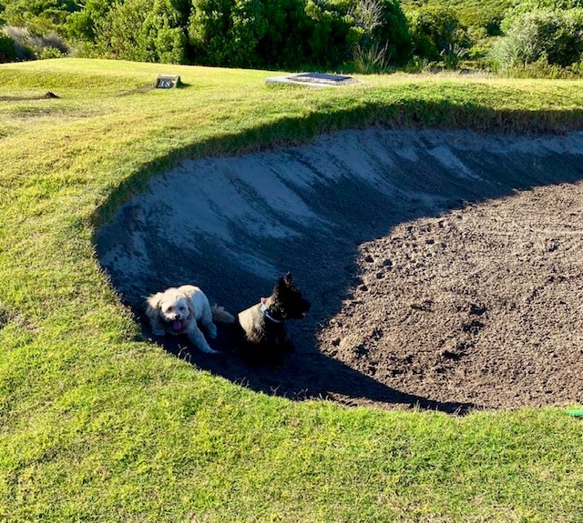 Basjan and Billie-Booi