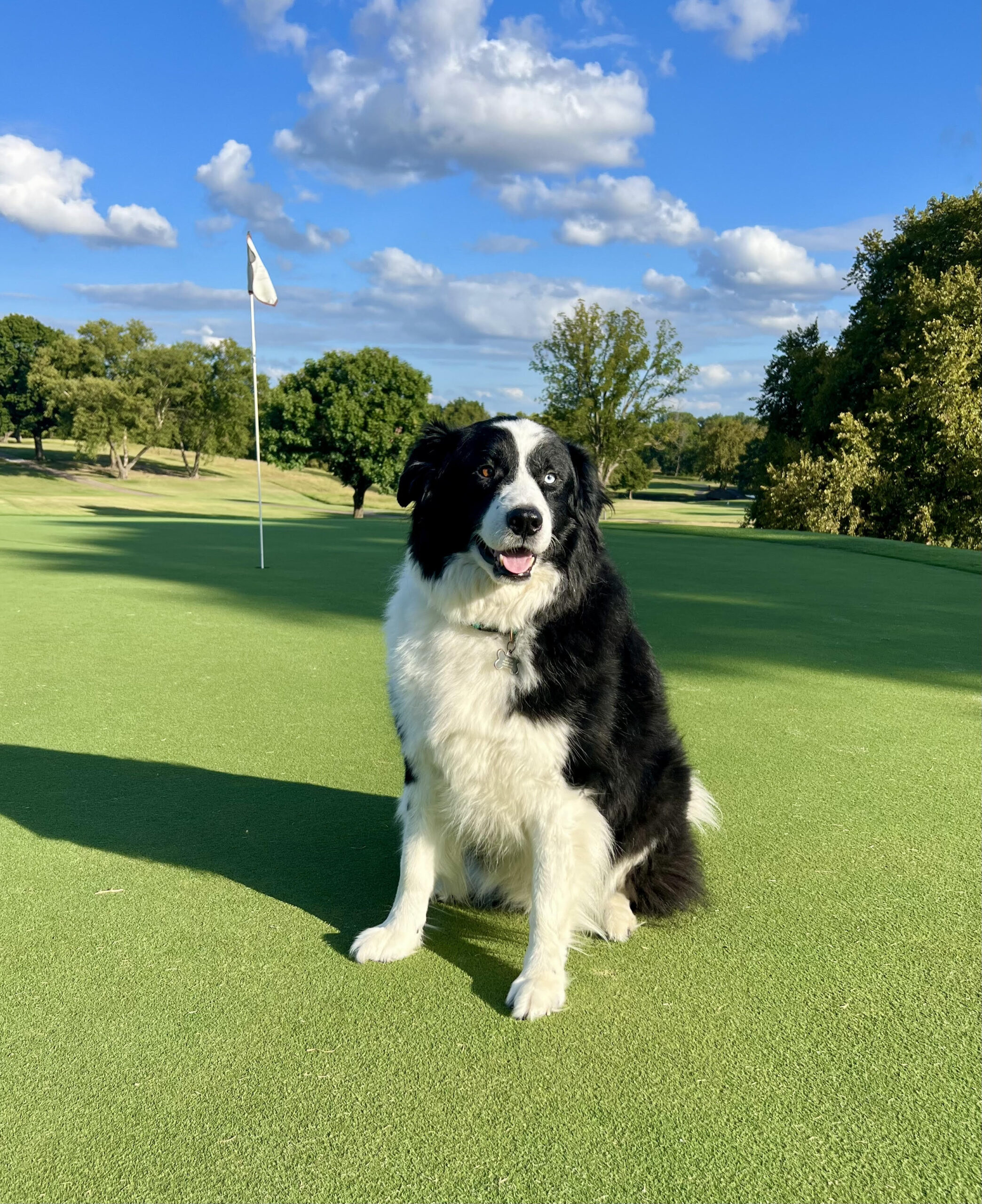 dutch-five-clubs-golf